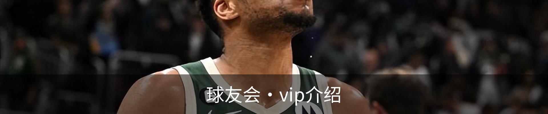 球友会·vip介绍